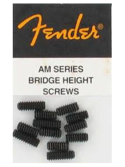 Fender Strat Bridge Height Screws 12