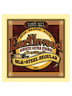 Ernie Ball 2043 Earthwood Silk & Steel Regular
