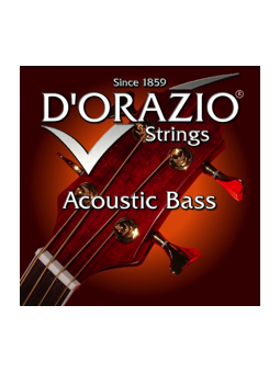 D'orazio 80/20 Acoustic Bass