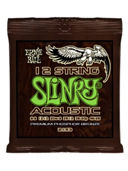 Ernie Ball 2153 - 12-String Slinky Acoustic