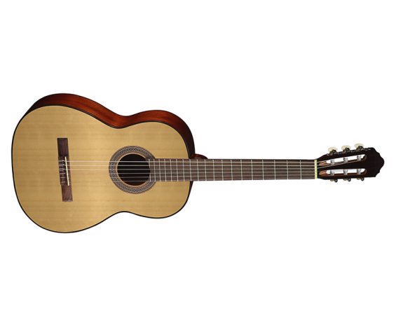 Cort AC100 OP W/Bag