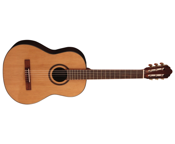 Cort AC160 W/Bag Nat