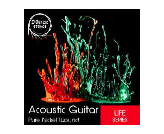 D'orazio Pure Nickel Acoustic 12/56