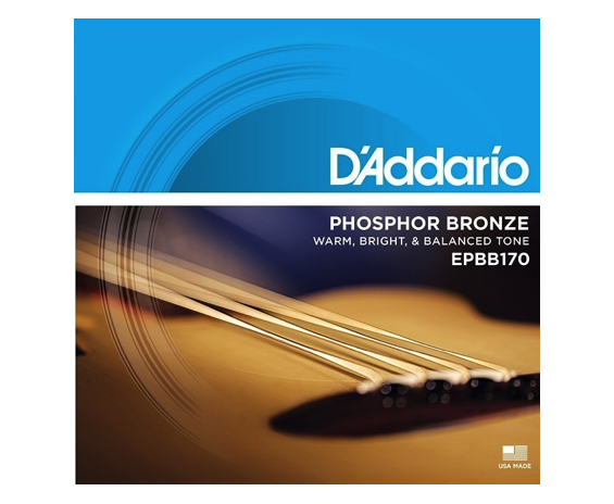 Daddario EPBB170 Phosphor Bronze Acoustic Bass