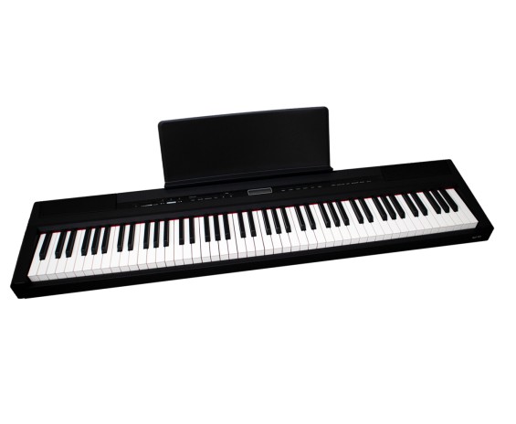 Echord SP10