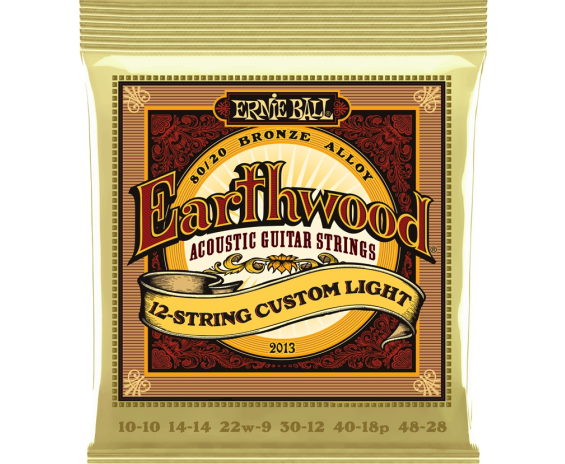 Ernie Ball 2013 Earthwood 12-String Custom Light Bronze 80/20 10-48