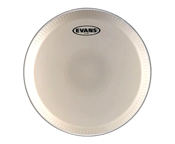 Evans EC1100 - Pelle Per Conga Da 11