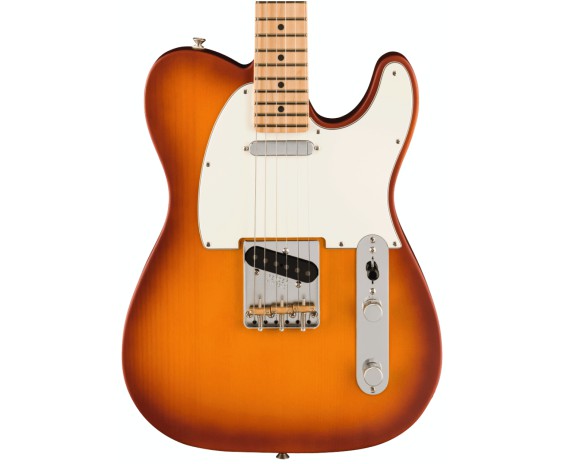 Fender American Performer Telecaster MN Honey Burst