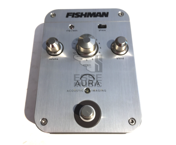 Fishman Acoustic Imagig 12 String