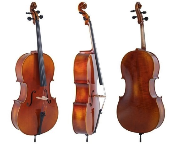 Gewa Violoncello Maestro 1
