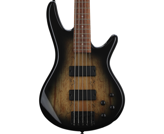 Ibanez GSR205SM NGT Natural Gray Burst