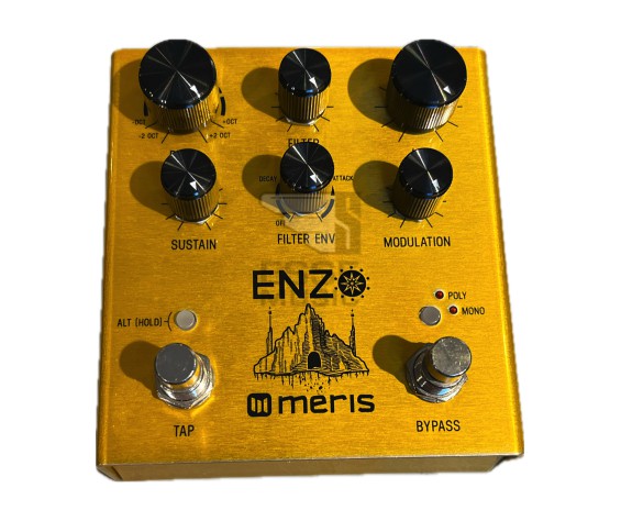 Meris Enzo Multi-Voice Synthsizer Pedal