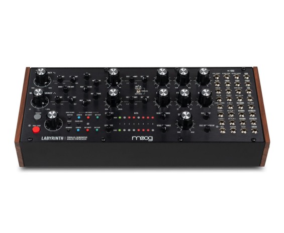 Moog Music Labyrinth
