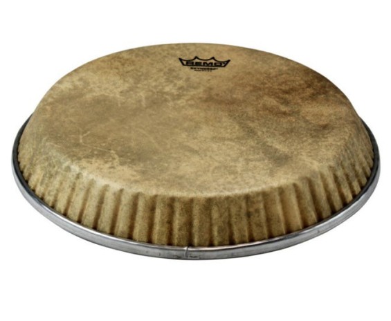 Remo M4-1300-S6-D1003 - Pelle per Conga da 13.00