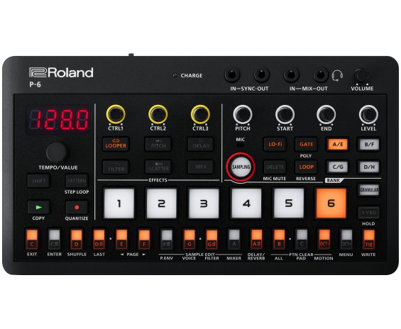 Roland P-6
