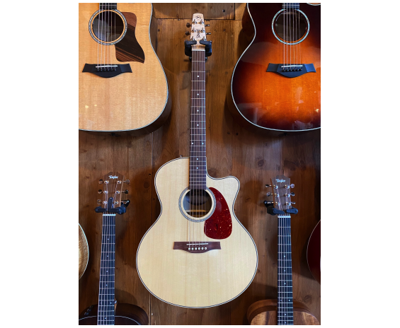 Seagull Performer CW Mini Jumbo HG QIT
