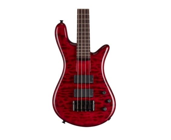 Spector Bantam 4 Black Cherry