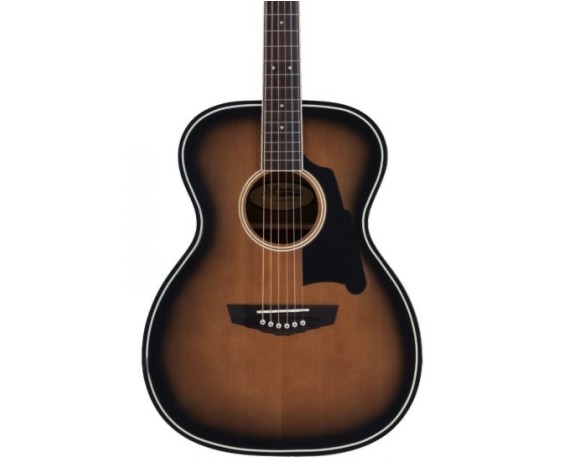 D'angelico Premier Tammany Aged burst