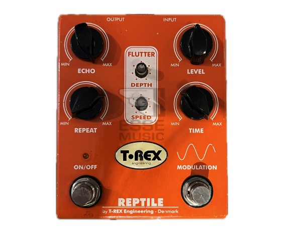 T-rex Reptile