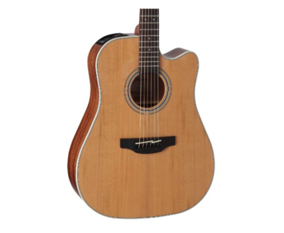 Takamine GD20CE Natural Satin