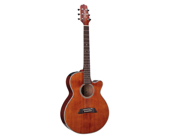 Takamine TAK-EF261S-AN
