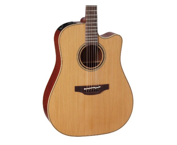 Takamine TAK-P3DC-12