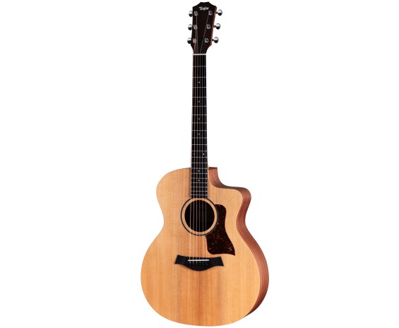 Taylor 14ce