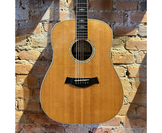 Taylor 810 + LR Bagg Dual Source