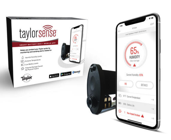 Taylor Guitar Health Monitoring System