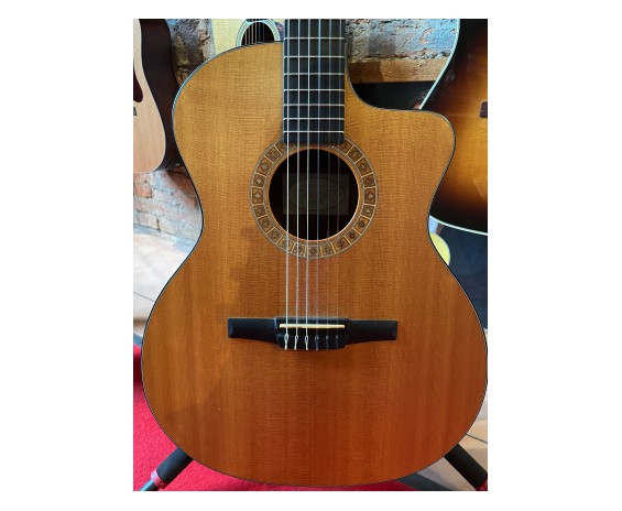 Taylor NS24CE