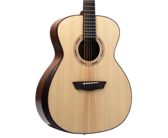 washburn g10se