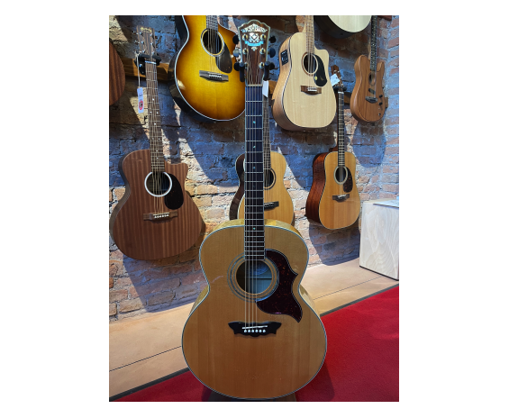 Washburn J28