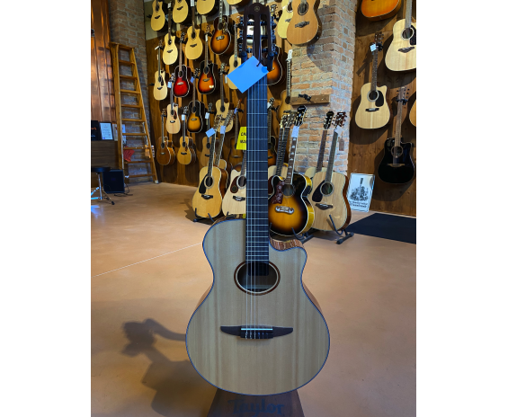 Yamaha NTX1