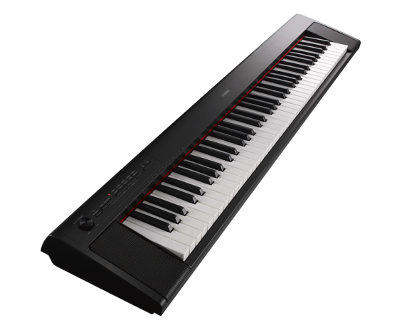 Yamaha Piaggero NP32B
